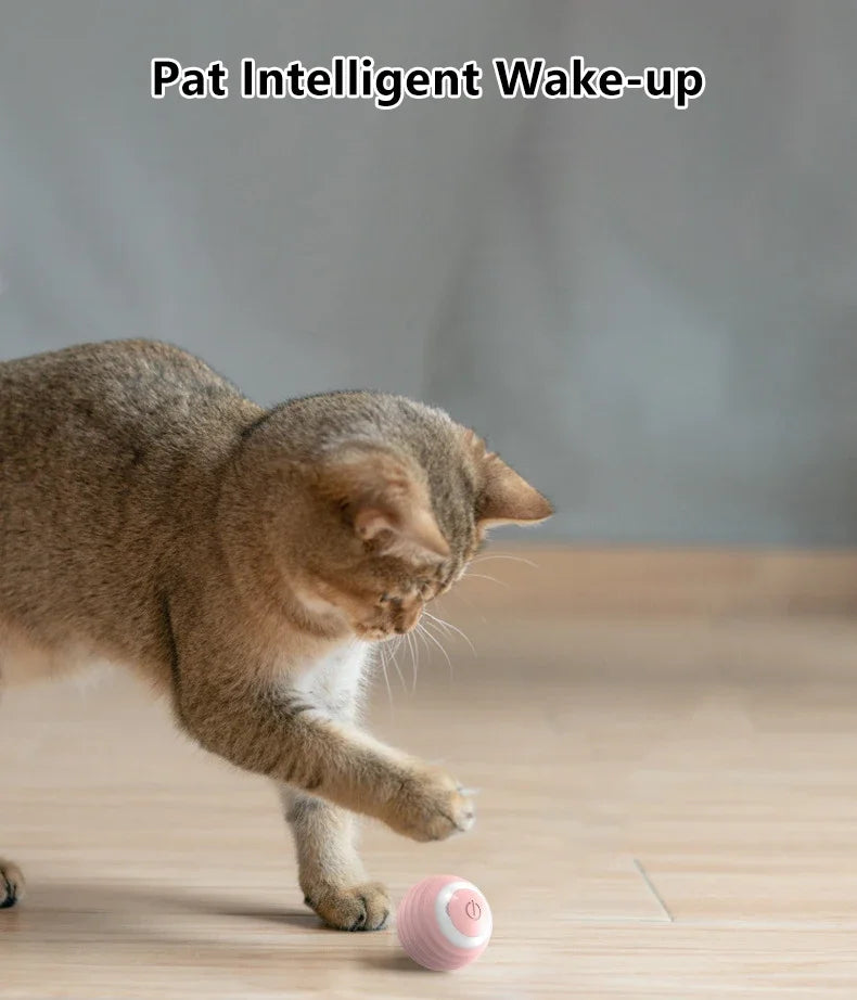 Balle Roulante Intelligente pour Chat